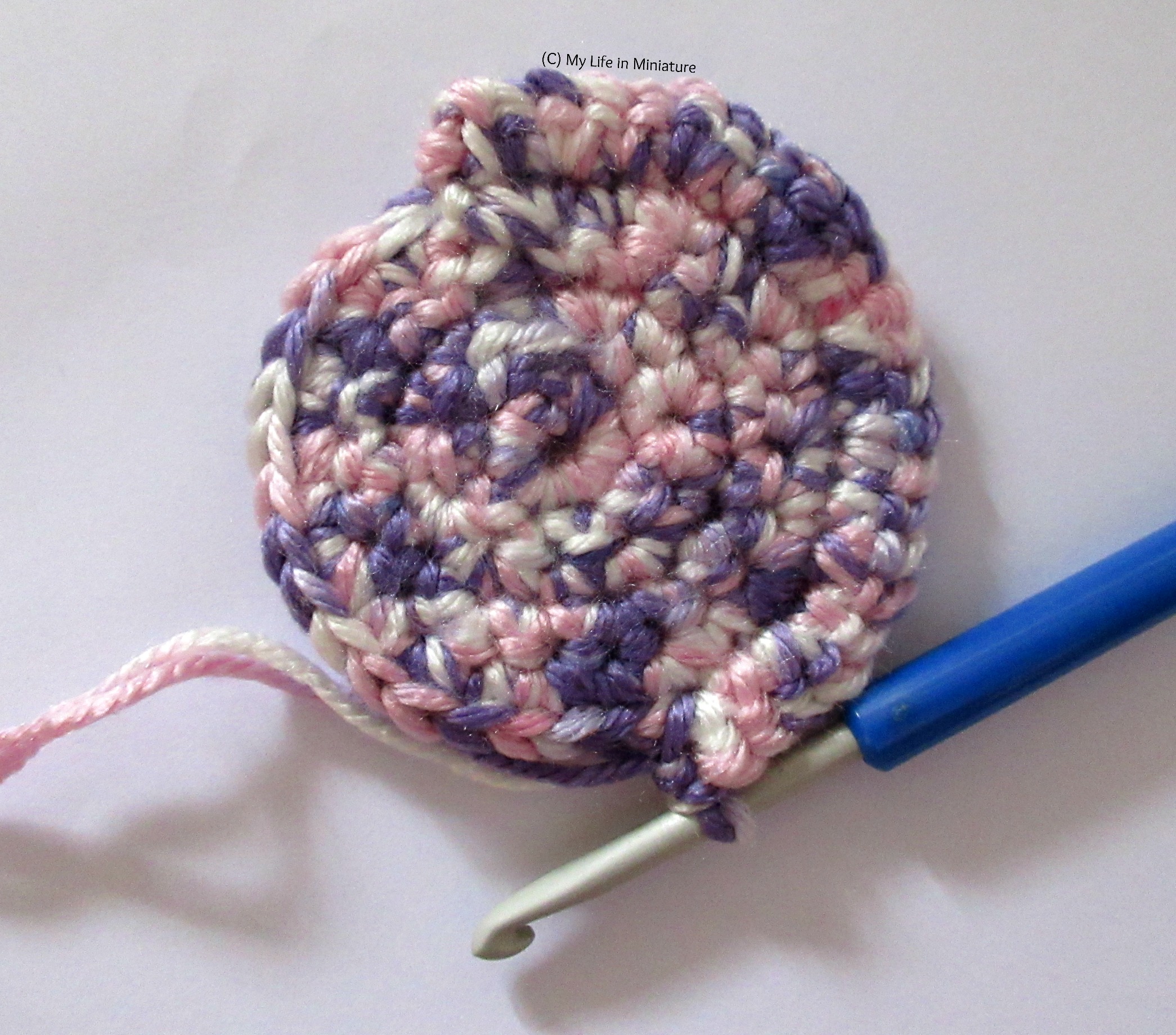 Five-and-a-half rounds of a crochet circle are on a white background. The yarn is pink, purple, and white. 